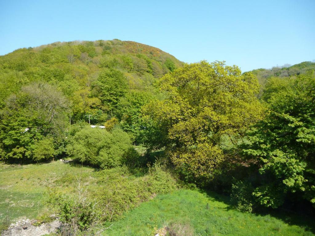 Score Valley Country House إلفراكومبْ الغرفة الصورة